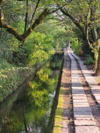 The Philosopher’s Path: Kyoto’s Most Peaceful Walk