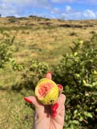 Explore Rapa Nui aka Easter Island within 4 days