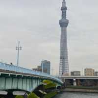 Tokyo: A City of Endless Discovery