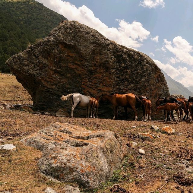 Ala-Archa National Park, Kyrgyzstan 🏔️🌲 Ala-Archa National Park, Kyrgyzstan 🏔️🌲