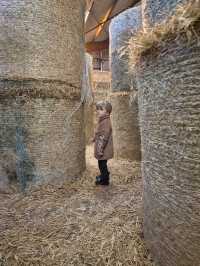 The Barn at Newmill, Dolphinton – A Fun, Farm-Filled Family Day Out