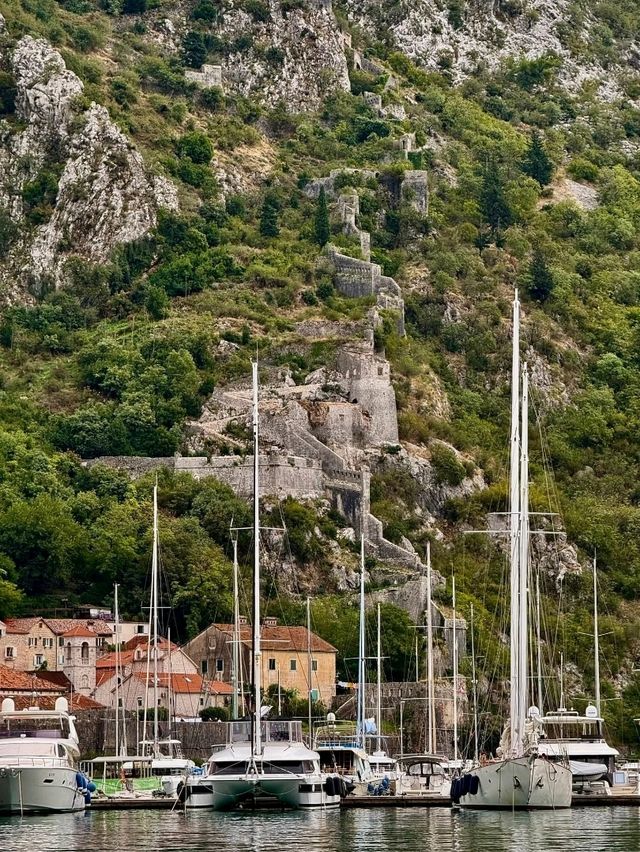 Top 5 Attractions in Kotor: A Halloween Adventure