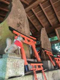Fushimi Inari: Magical Foxes and Thousands of Tori