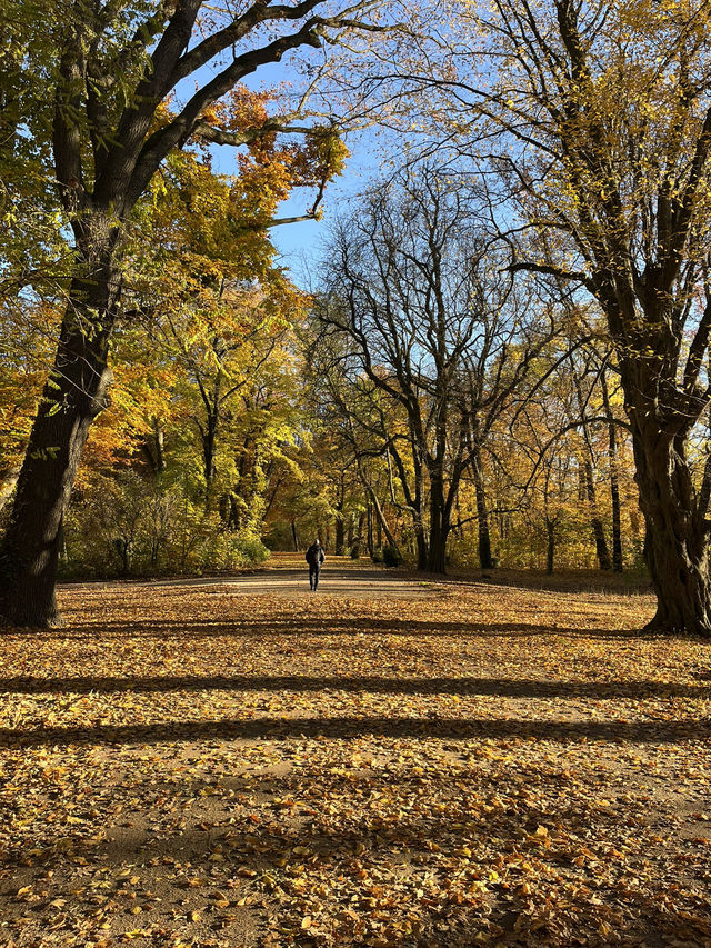 Beautiful Park & Local Food in Berlin🧡🇩🇪
