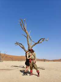 Намибия: дикая, красивая и удивительно доступная