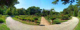 Szeged's hidden Botanical Garden