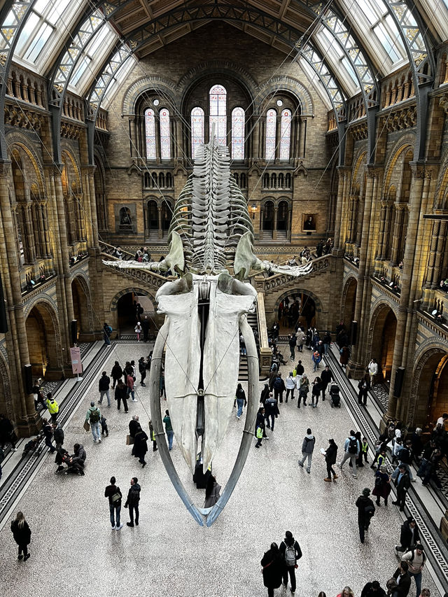 Natural History Museum London