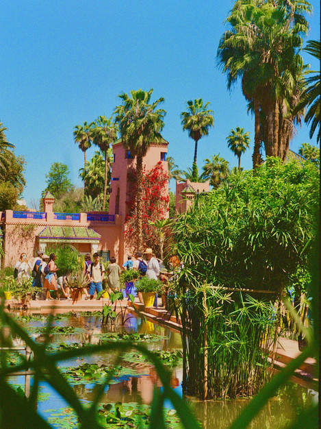 This Garden Taught Me Color. | Trip.com Marrakech