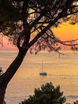 Rovinj Old Town – Croatia’s Most Romantic Coastal Town✨