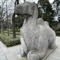 600年の眠りから蘇って来そうな石像にドッキリ、明孝陵