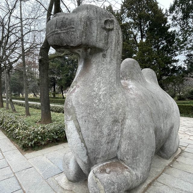 600年の眠りから蘇って来そうな石像にドッキリ、明孝陵