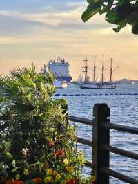 Singapore tourism, must-visit internet-famous coconut trees.