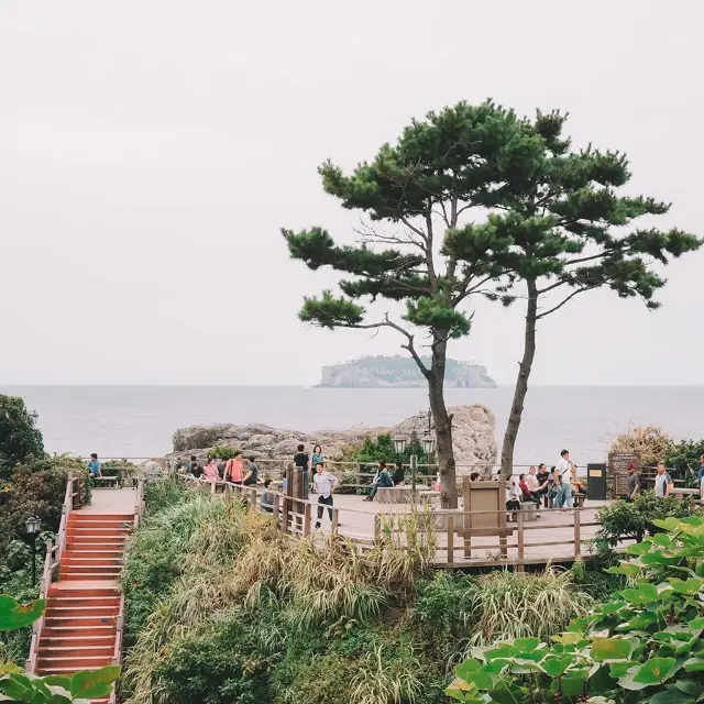 遊濟州🇰🇷西歸浦市鳥島