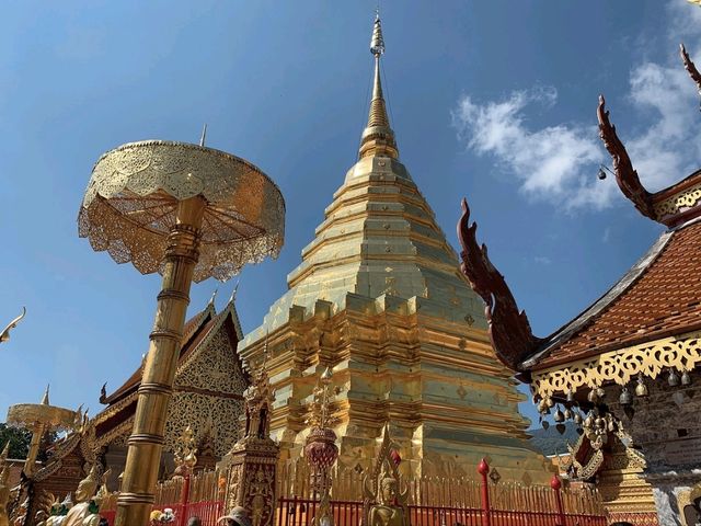 A Sacred Gem of Chiang Mai🇹🇭