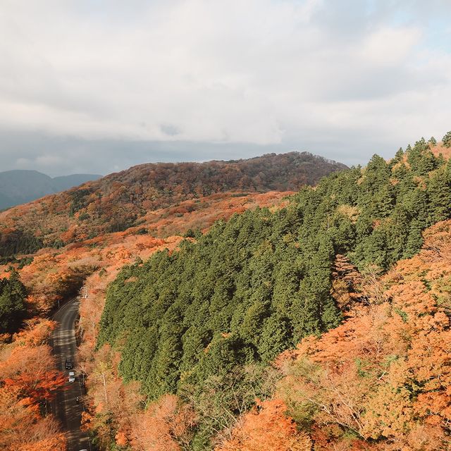 🇯🇵箱根空中纜車