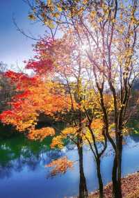 你一定要在秋天去二郎山喇叭河風景區一次