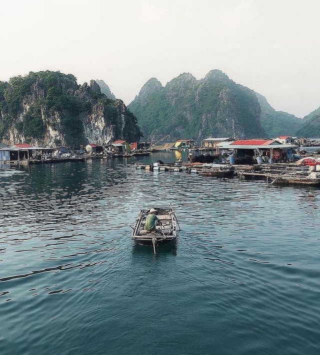 Let the wind guide your sails as you explore the stunning coastlines of Vietnam!🌊🌴