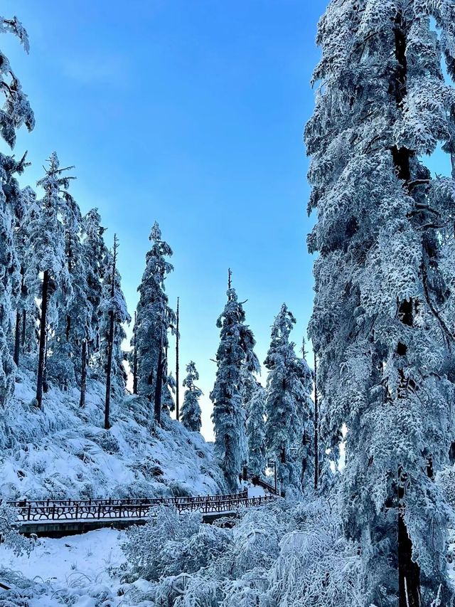 宮崎駿的冰雪世界丨瓦屋山