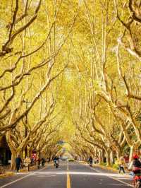 人生建議:12月逛完這些小馬路再離開上海!