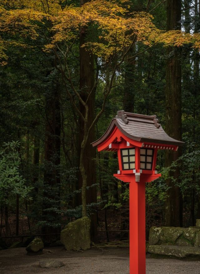 東京最強的自由行攻略，看這篇就夠了