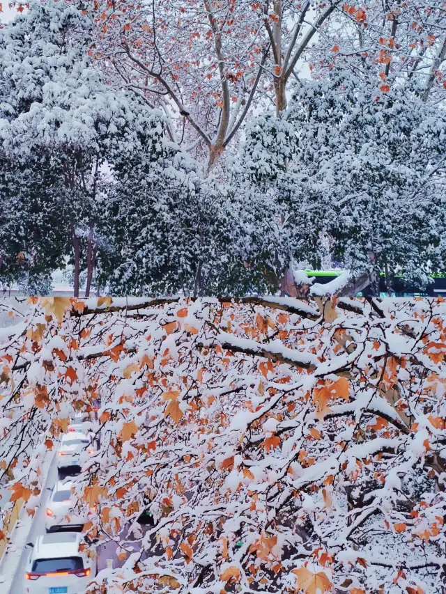 เซียนตกหิมะแล้ว คุณรู้หรือไม่