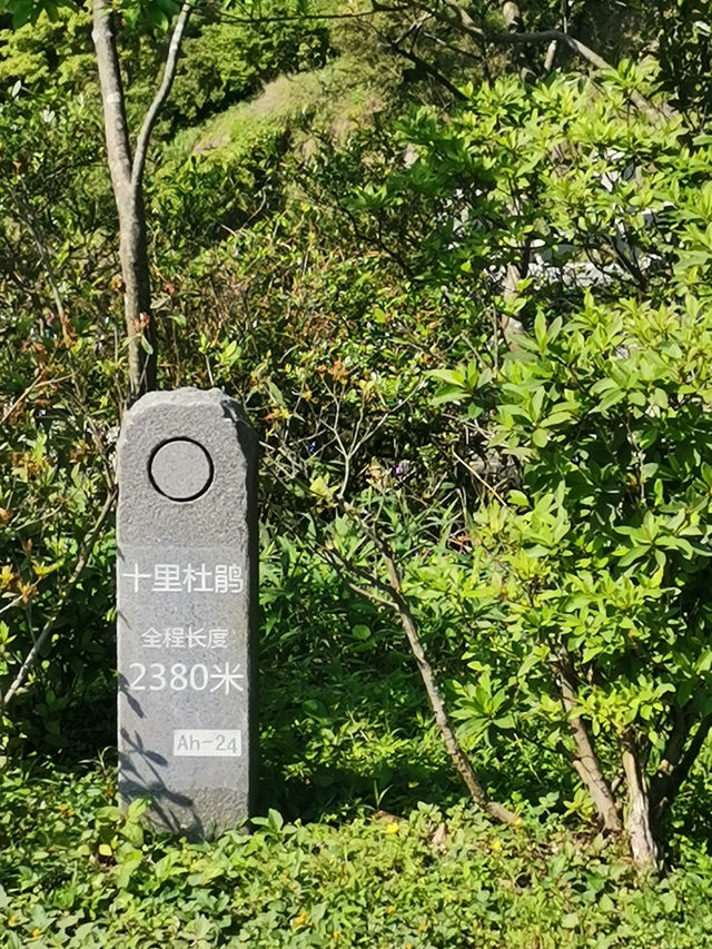 梧桐山 | 深圳“鵬城第一峰”一日遊玩法攻略