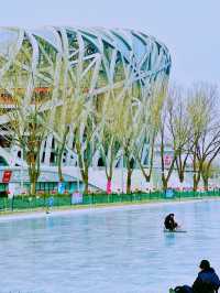 北京歡迎你|鳥巢腳下的冰場