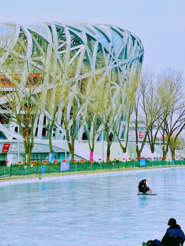 Beijing welcomes you|The ice rink under the Bird's Nest