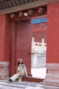 北京初雪！別去故宮擠了！人少景美拍雪景