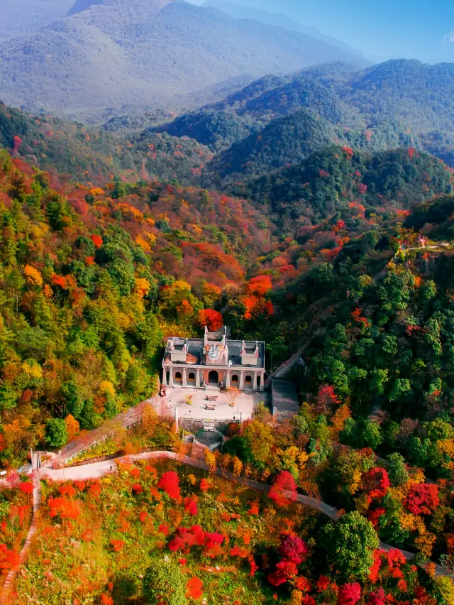 九皇山，朋友看了吵著要……