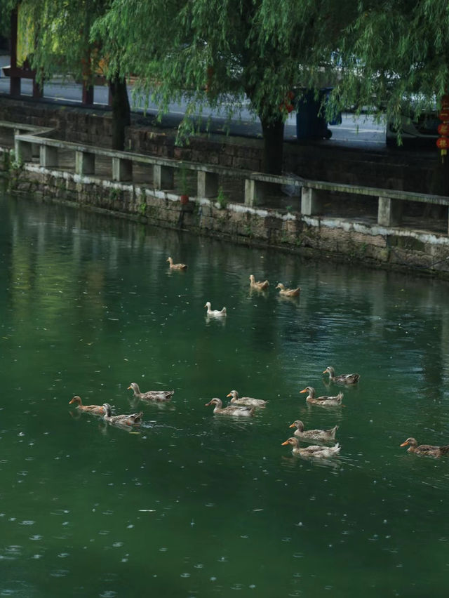 武漢周邊古鎮｜鹹寧劉家橋古民居  武漢周邊居然藏著這麼美的百年古村，青磚瓦房、小橋流水人家，下雨便入