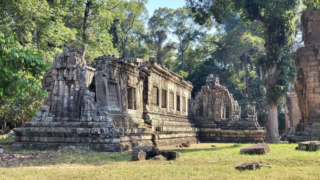 中國援助項目-王宮遺址，群象台、十二生肖塔