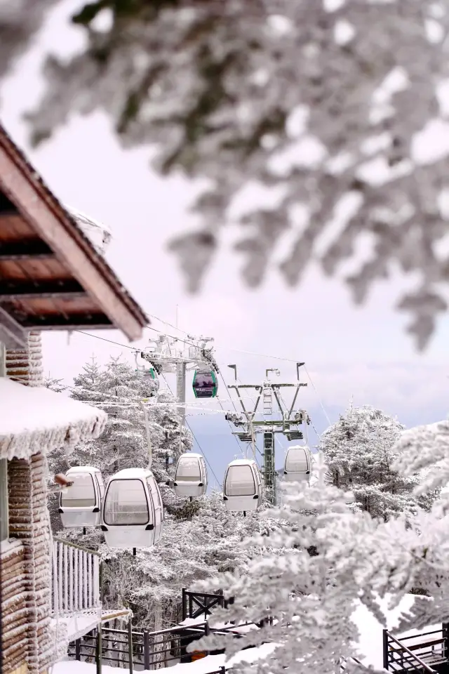 これは本当に韓国ではなく、昆明の雪山です