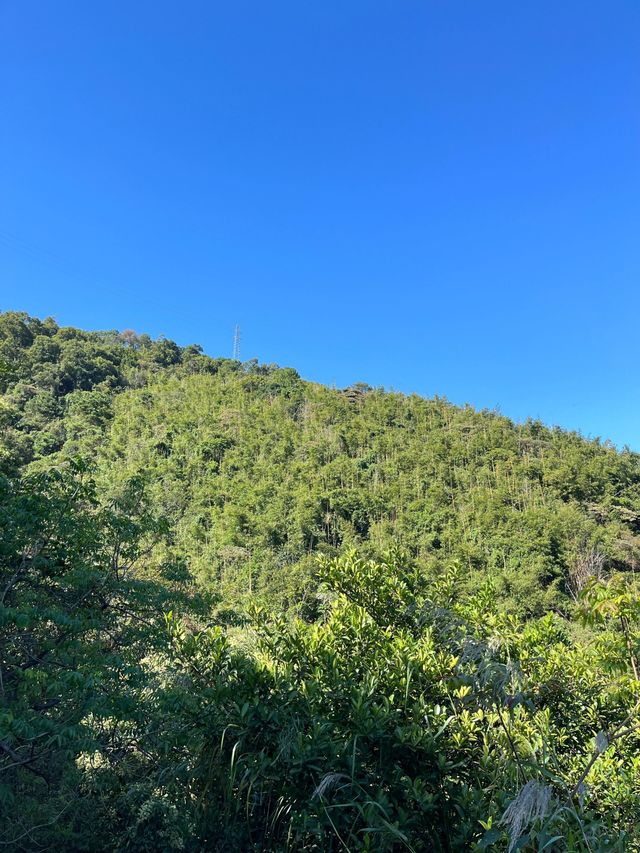 肇慶鼎湖｜羚羊峽古道｜探秘古道，感受自然