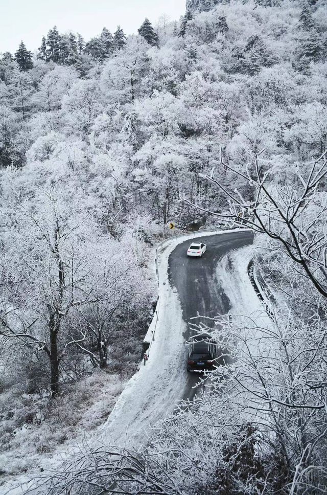 這真的是在杭州不是在長白山！