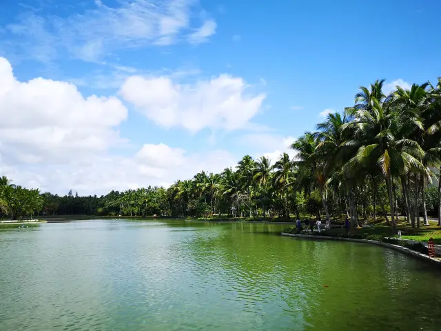 จำไว้ว่าต้องมาเล่นที่สวนพืชเขตร้อน Xinglong นะ!