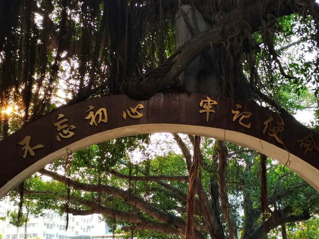 漸行漸美——走進全國文明村“漸美村”