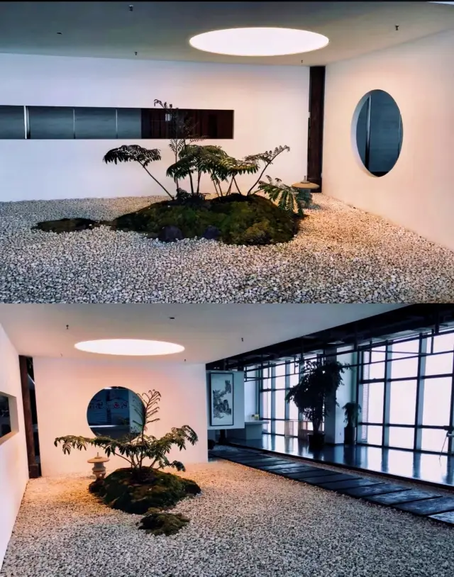 Art Gallery| Dalian's super niche sky art gallery!!