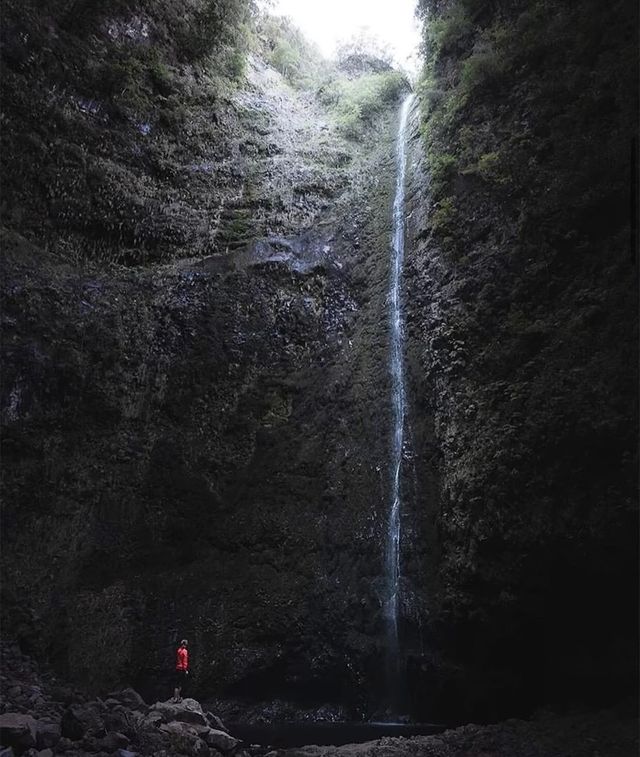 C羅的故鄉——馬德拉群島