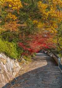高松旅行四國村