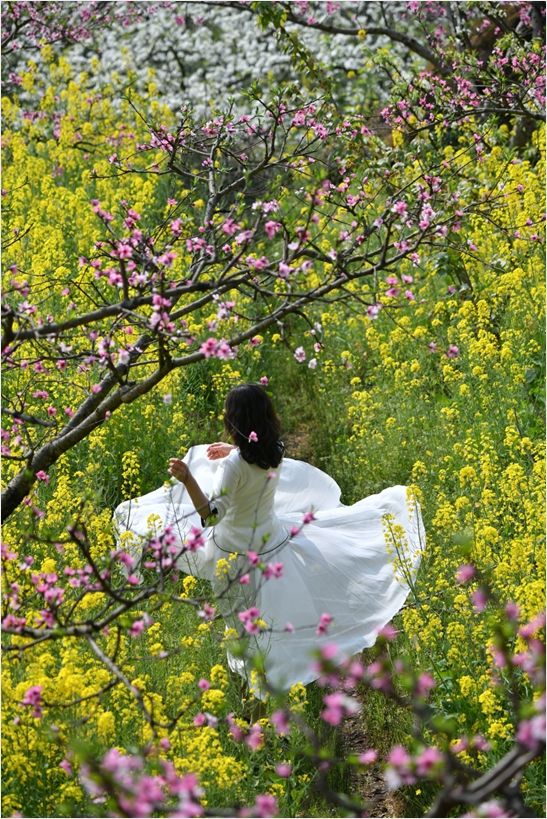 幸福古村攜帶著油菜花來啦，三月桃李還會遠嗎