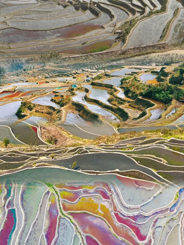 The Earth's palette, Yuanyang Rice Terraces have entered the best period for water irrigation viewing