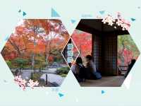 打卡京都寶筐院