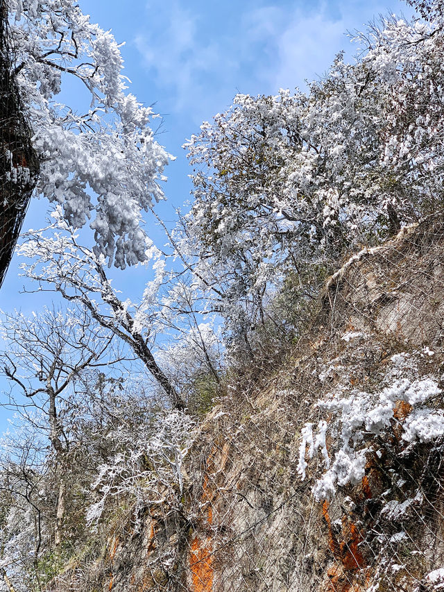 天門山｜借一場雪的名義，把「想去」變成「走過」