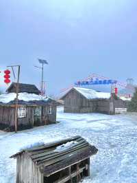 雲山冰雪樂園之帝企鵝日記