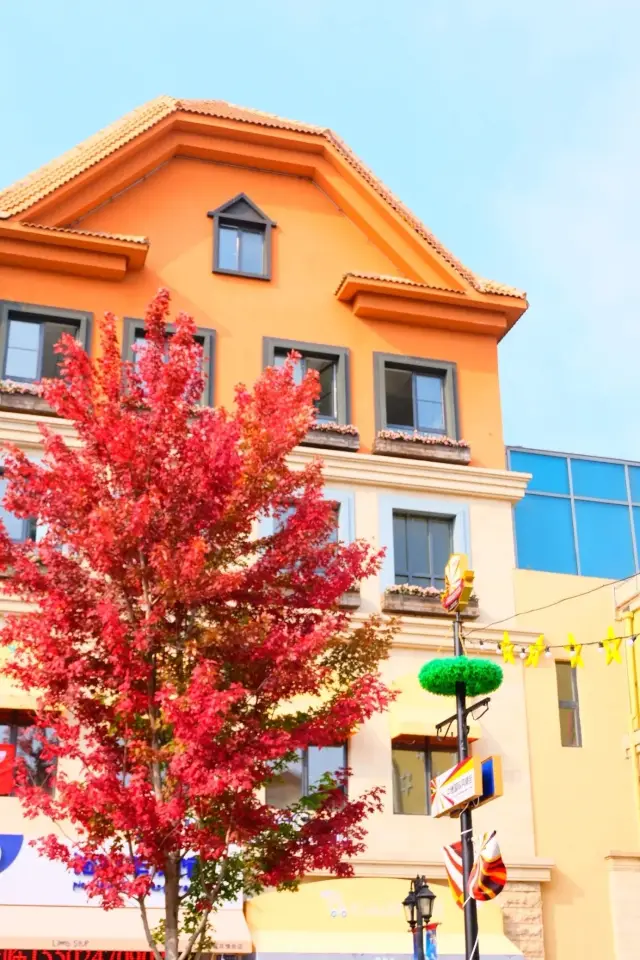 It's Shenyang, not Germany, a hidden gem for photography enthusiasts