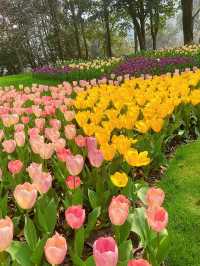 太子灣公園真的太美了