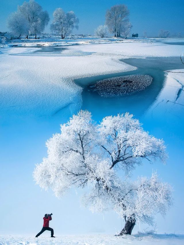 前往中國雾凇仙境第一島，只為定格這份冰雪之美