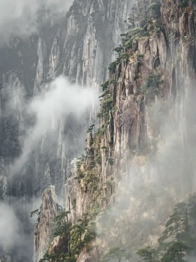 The sea of clouds at Mount Huangshan is like a fairyland!