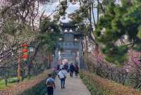 昔人已乘黃鶴去，此地空餘黃鶴樓